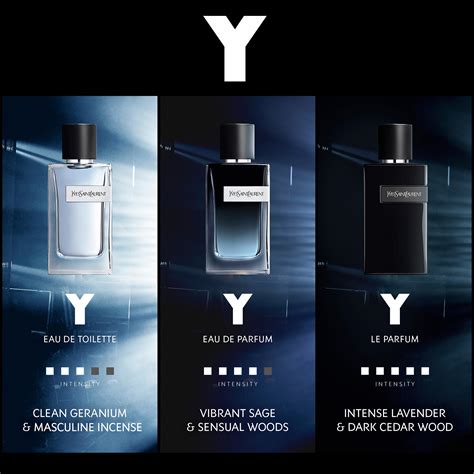 sebastian stan yves saint laurent eau de toilette|y y saint laurent.